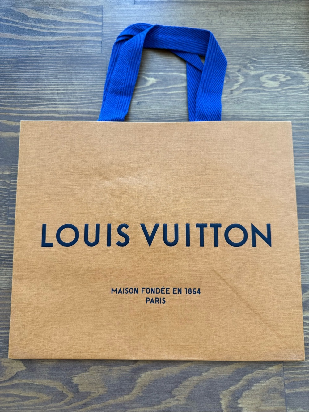 Louis Vuitton shopping paper bag 8.5”x9.75”